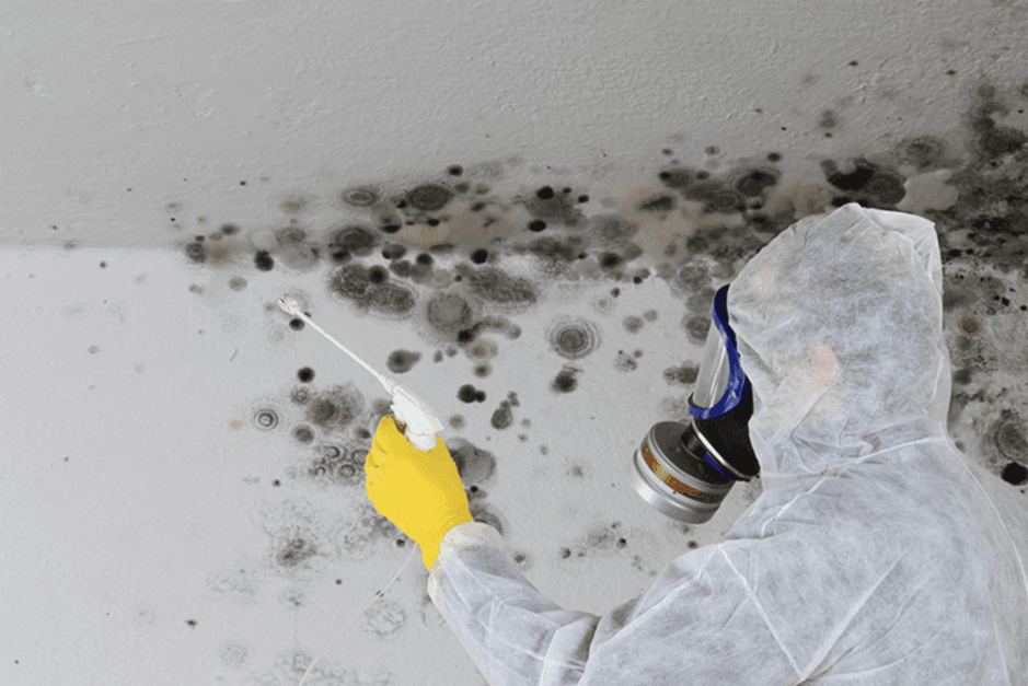 Asbestos Abatement Company