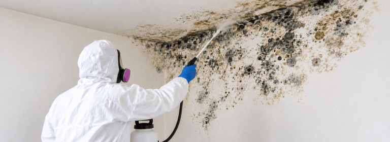 Certified professional performing mold remediation inside a property