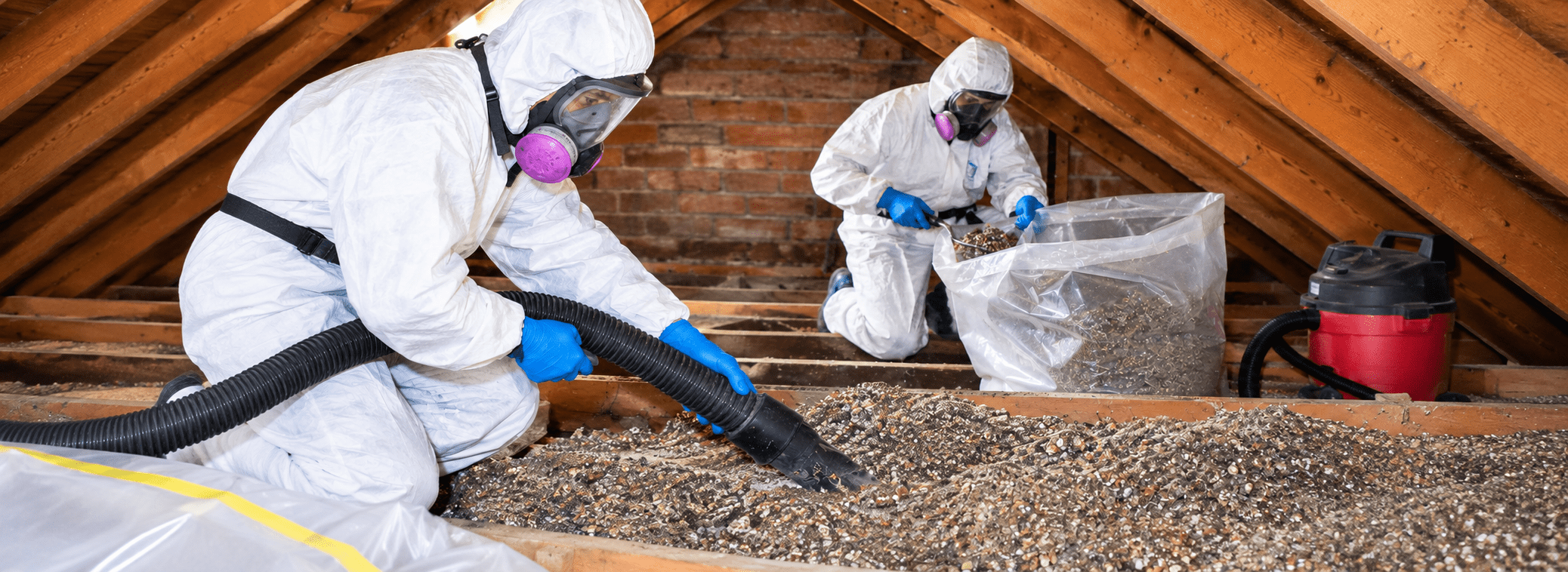 Vermiculite insulation asbestos removal in a home attic